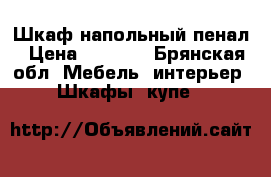 Шкаф напольный пенал › Цена ­ 1 000 - Брянская обл. Мебель, интерьер » Шкафы, купе   